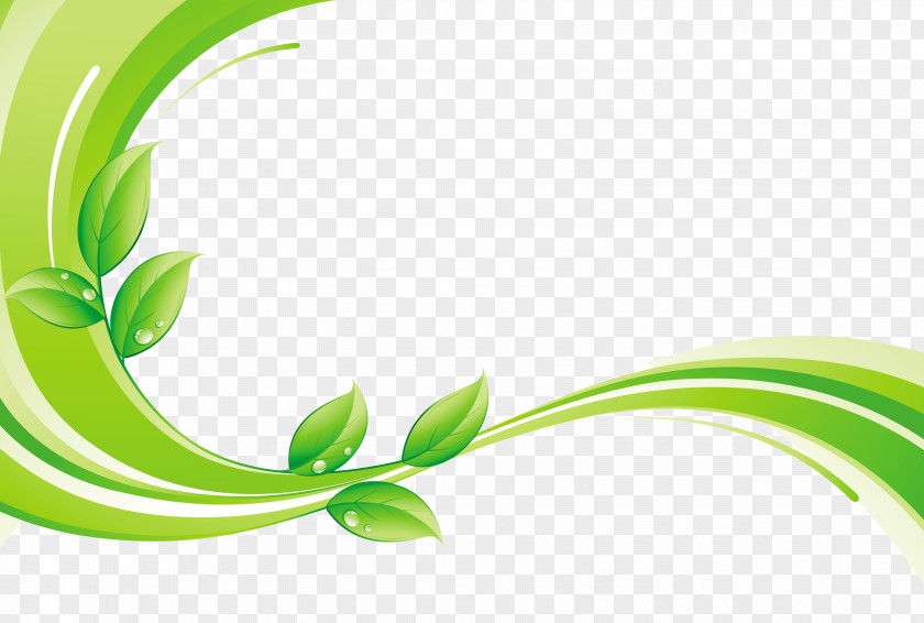 Green Leaf With Decorative Lines Euclidean Vector Royalty-free PNG
