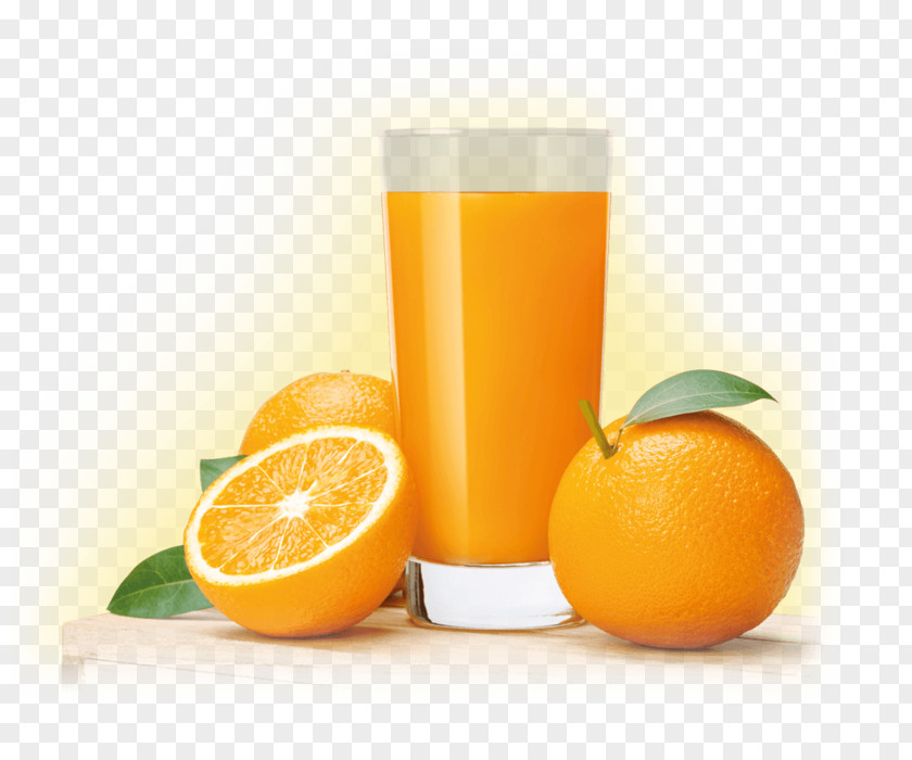 Orange Juice Grapefruit Drink Health Shake PNG