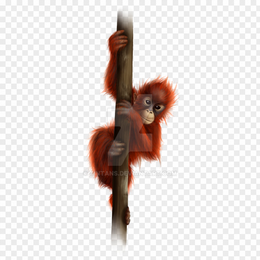 Orangutan Drawing Painting DeviantArt Digital Art PNG