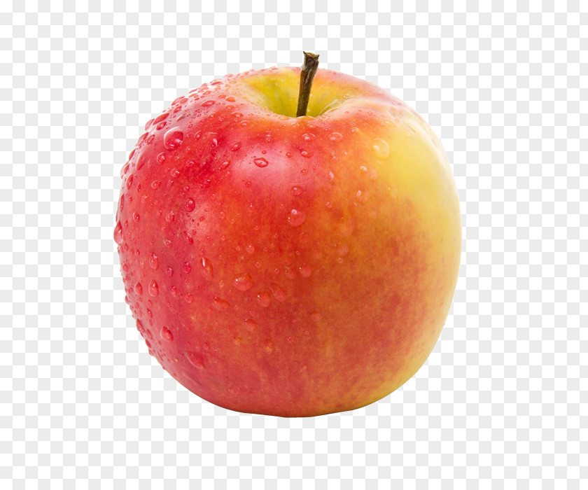 Pommes Apple Elstar Red Delicious Fruit Jonagold PNG