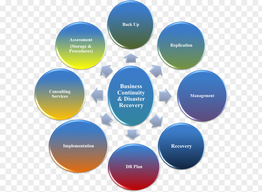 Specil Needs School Bus Driver Resume Disaster Recovery And Business Continuity Auditing Planning Plan PNG