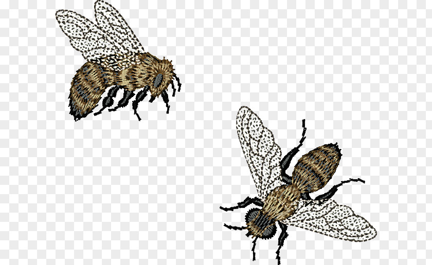Bumblebee PNG