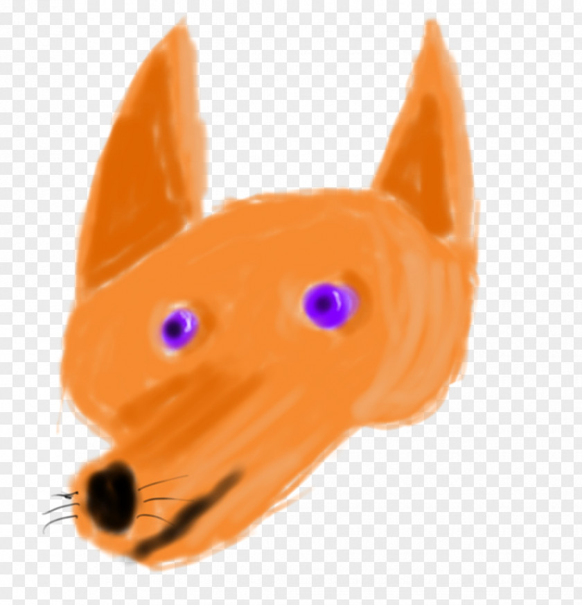 Cat Whiskers Dog Mammal Snout PNG