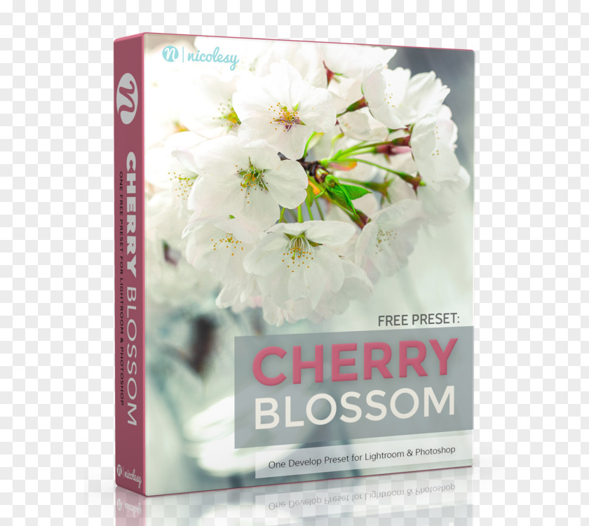 Cherry Material Adobe Lightroom Photography Photoshop Psd PNG