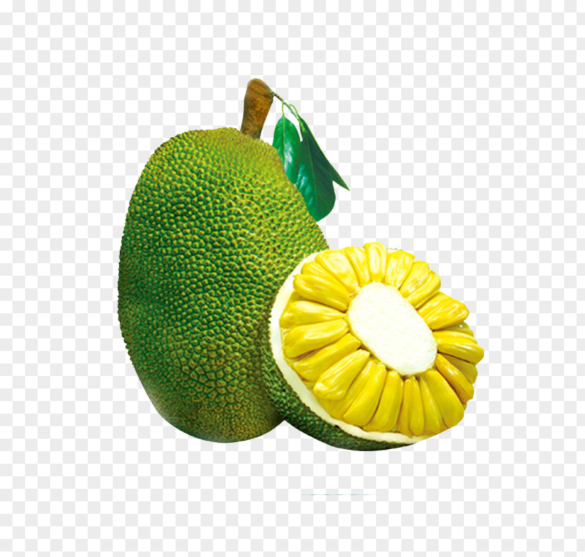 Jackfruit PNG clipart PNG