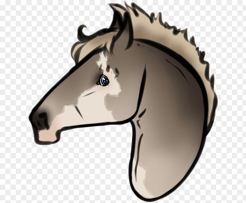 Mustang Snout Horse Tack Clip Art Legendary Creature PNG