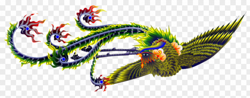 Phoenix Pattern Bird Fenghuang PNG