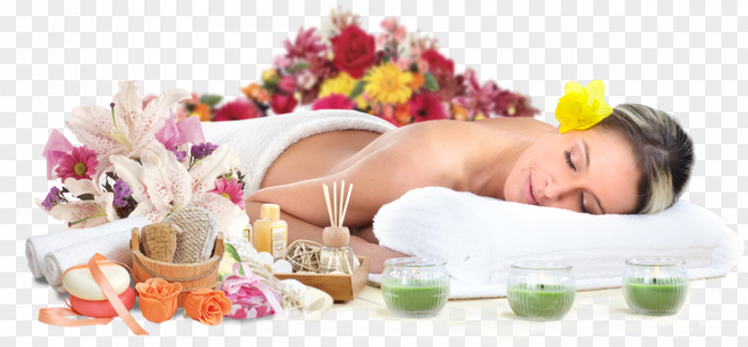 Body Soul Massage Therapy Stone Day Spa Facial PNG