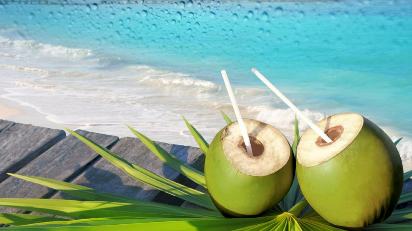 Coconut Fizzy Drinks Water Juice PNG