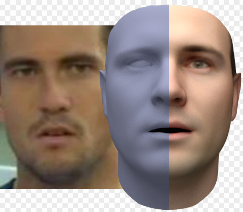 Face Computer Graphics Eyebrow Three-dimensional Space Diagram PNG
