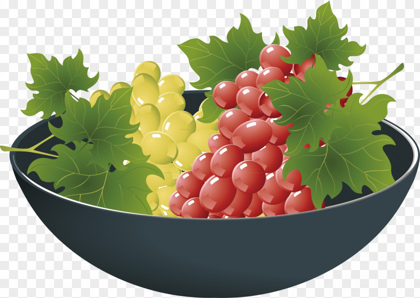 Grape Decorative Material Vector Fruit Bowl PNG