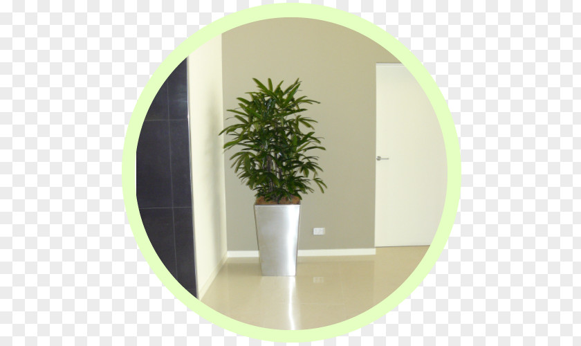 Indoor Air Quality Flowerpot Workplace Houseplant Herb PNG