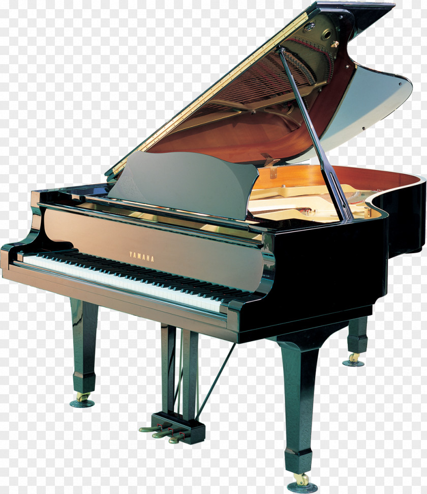 Instrument Grand Piano Yamaha Corporation Musical Instruments Clip Art PNG