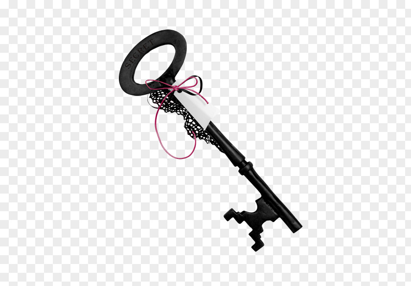 Key Organs Keychain Clip Art PNG