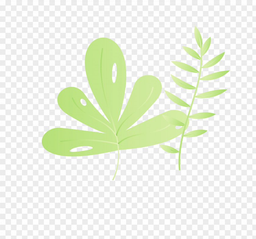 Leaf Plant Stem Green Font Meter PNG