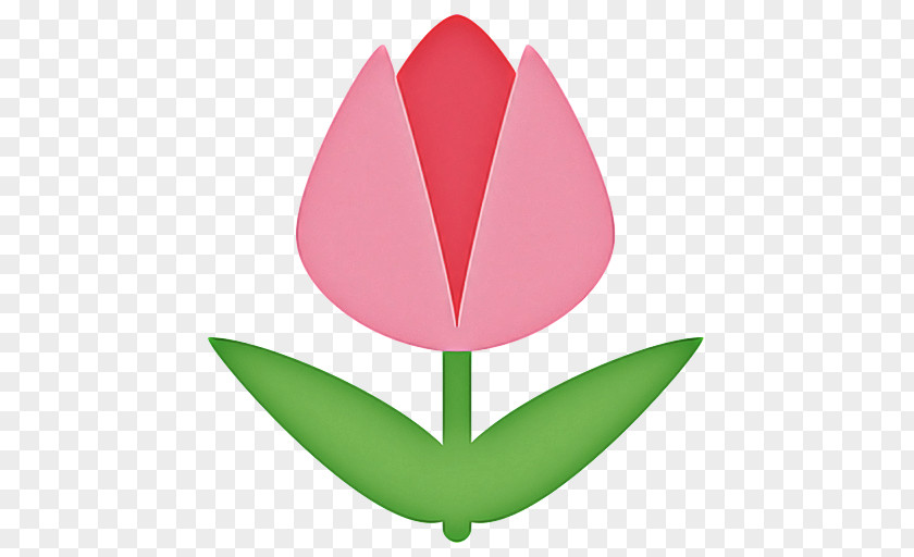 Symbol Logo Pink Flower Cartoon PNG