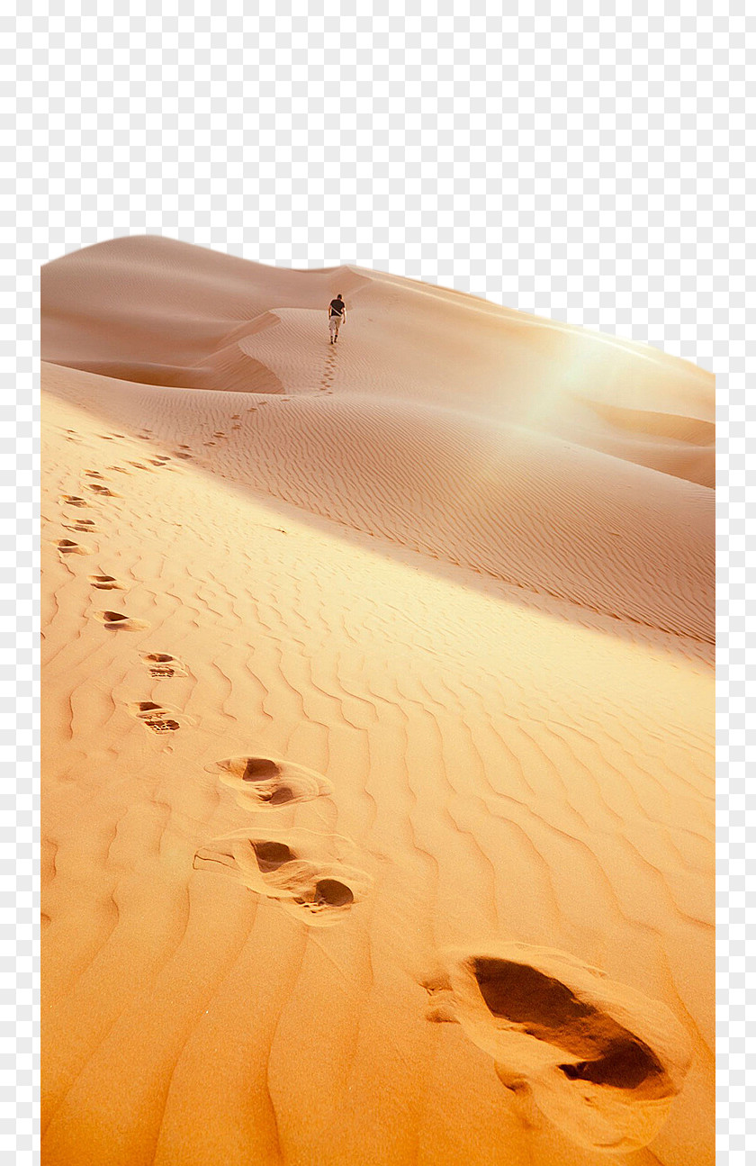 Desert Footprints Liwa Oasis Great Sand Sea Footprint PNG