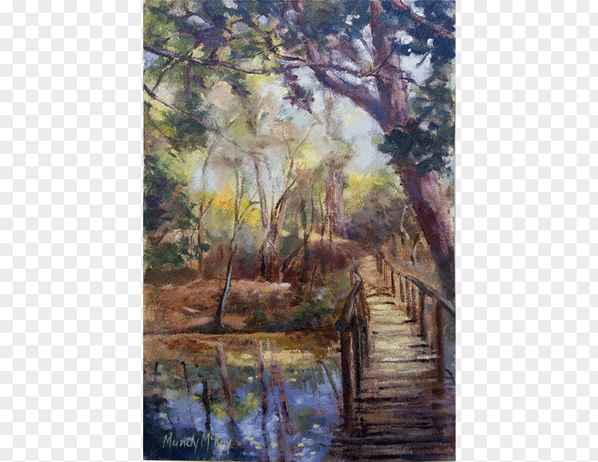 Painting Watercolor The Cape Gallery Bayou Swamp PNG