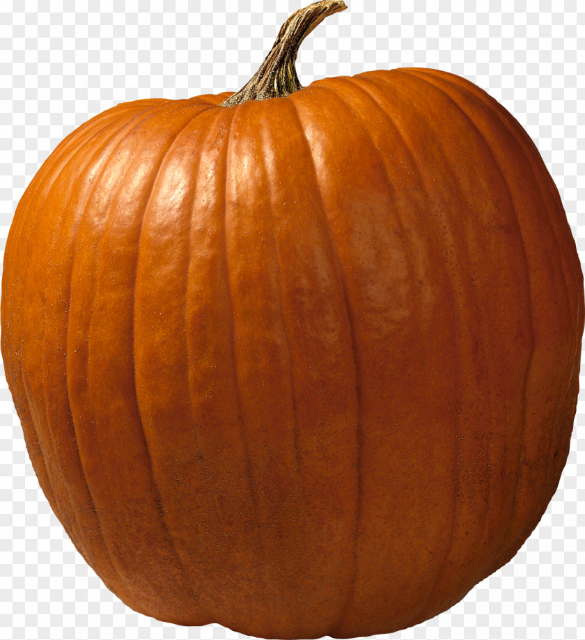 Pumpkin Cucurbita Maxima Pie Pepo Big Bread PNG