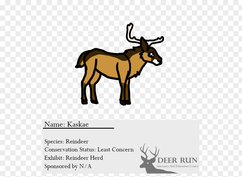 Reindeer Cattle Antelope Elk PNG