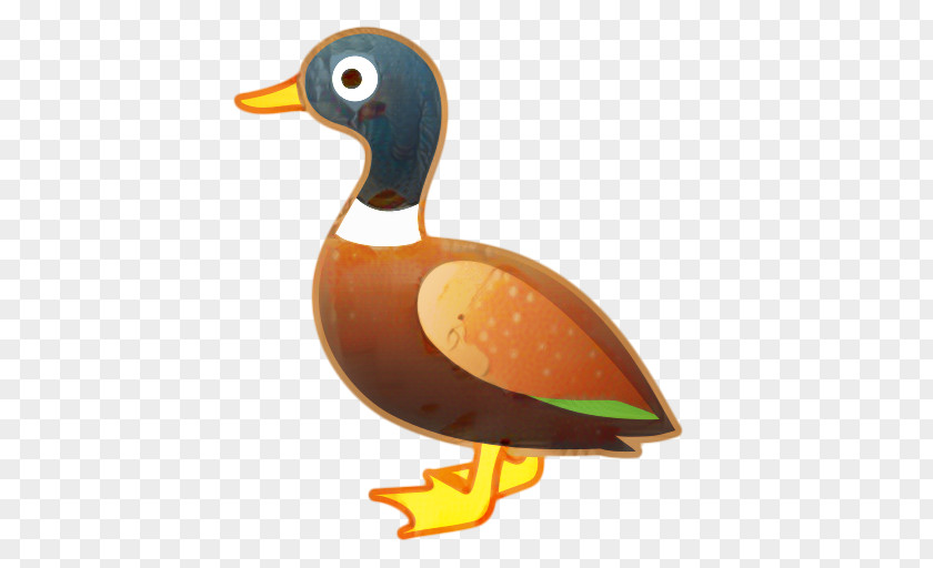 Wood Duck Seaduck Apple Emoji PNG
