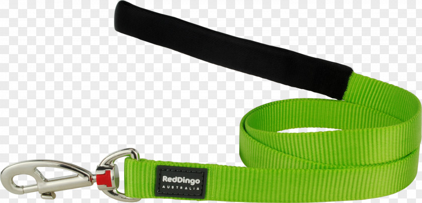 Dog Leash Collar Cat Dingo PNG