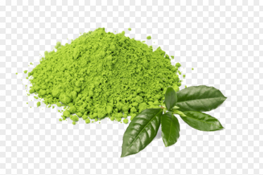 Green Tea Matcha Latte Plant PNG