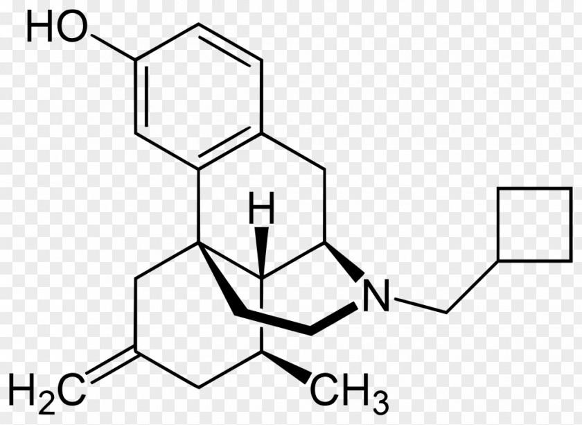 Orphan Codeine Opioid Desomorphine Hydromorphone PNG