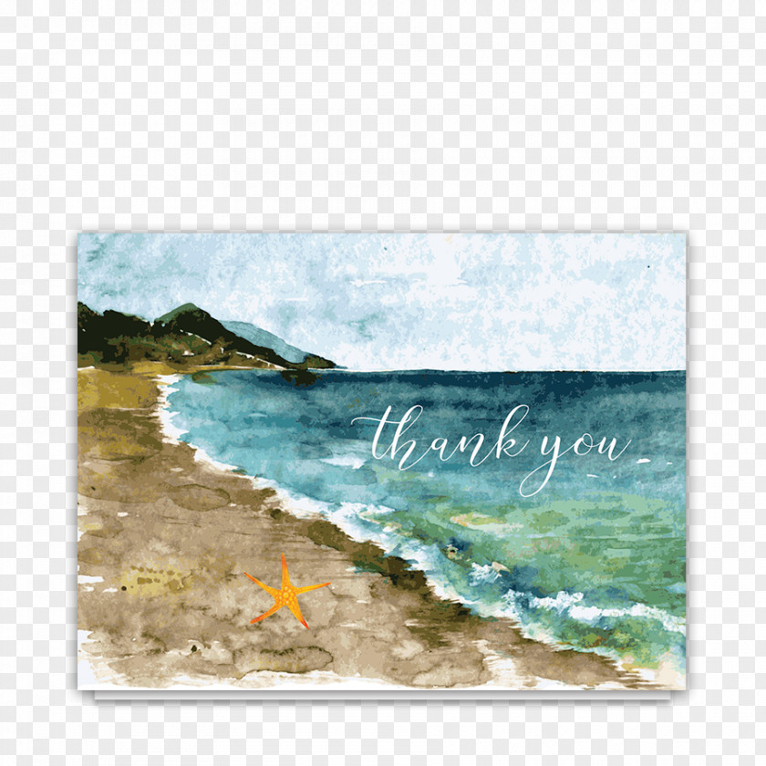 Thank You Drawing Watercolor Painting PNG