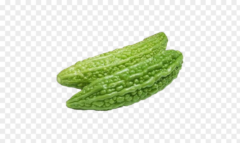 Vegetable Bitter Melon Calabash Gourd Cucurbitaceae PNG