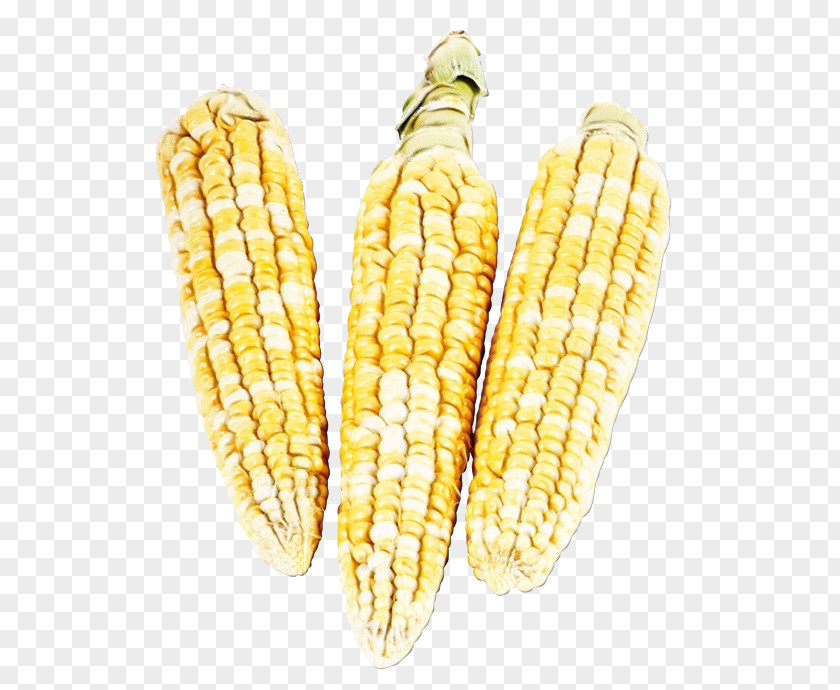 Vegetable Cuisine Corn Kernels On The Cob Sweet PNG