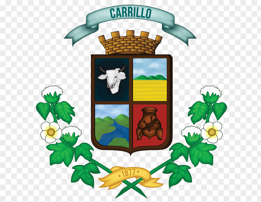 Agricultural Land Puerto Carrillo Cañas Liberia Municipality Of Abangares PNG