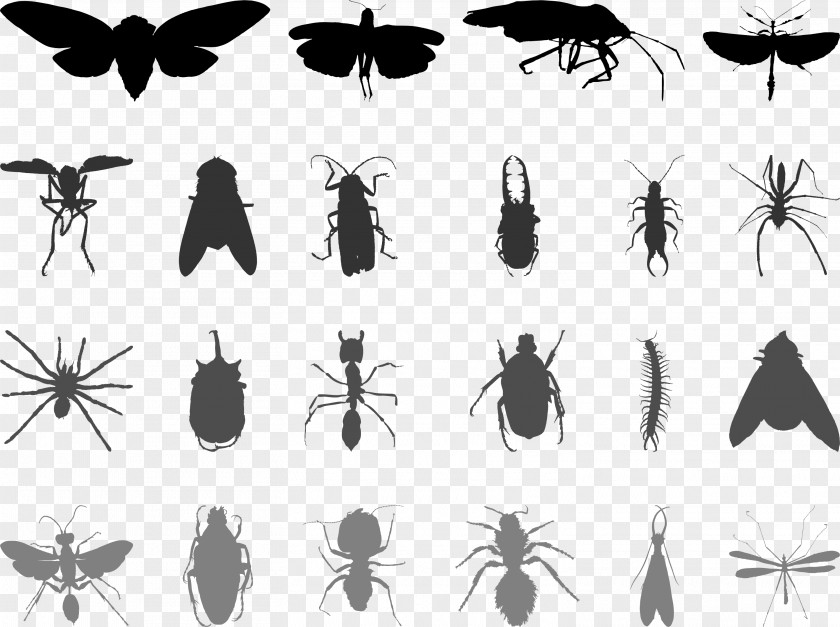Flies Mosquitoes Mosquito Insect Butterfly Ant PNG