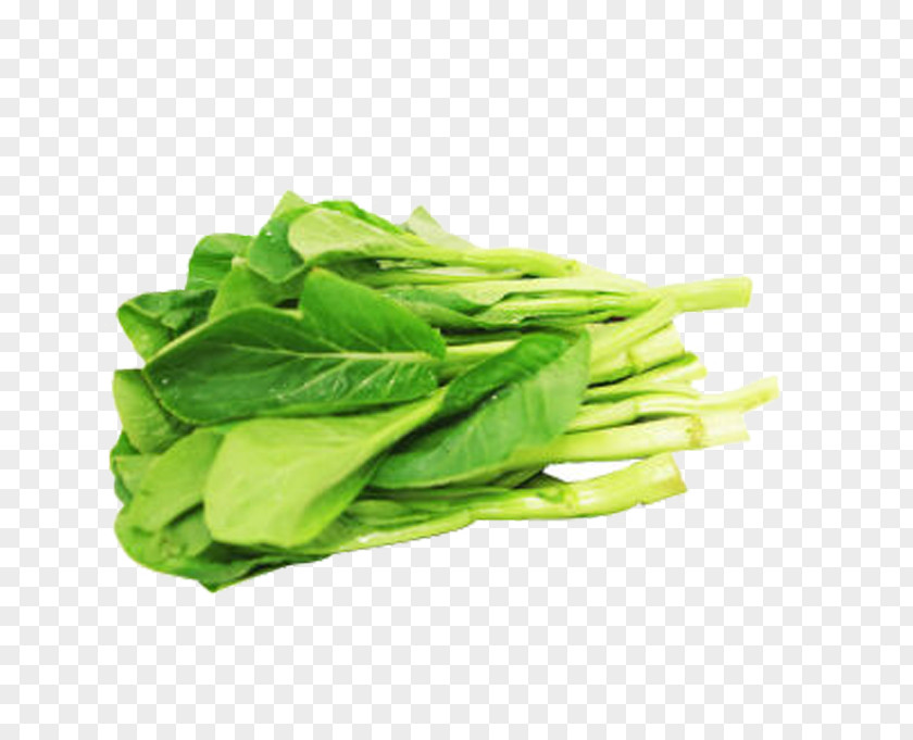 Green Cabbage Romaine Lettuce Choy Sum Spring Greens PNG