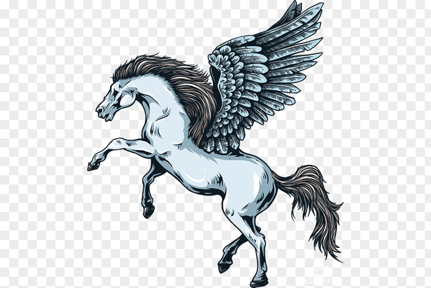 Pegasus Legendary Creature Greek Mythology Mythical Wall Decal PNG