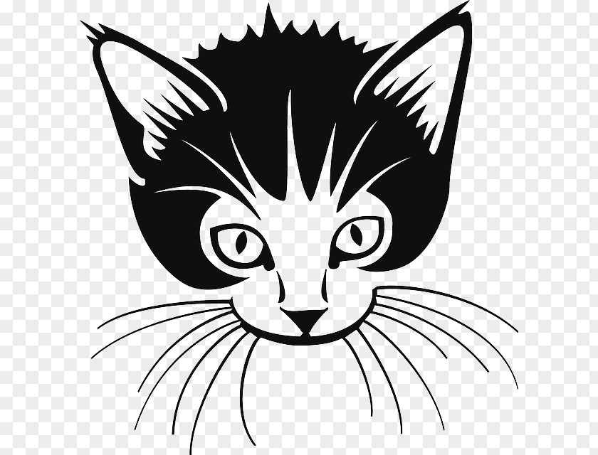Whiskers Cliparts Cat Kitten Clip Art PNG