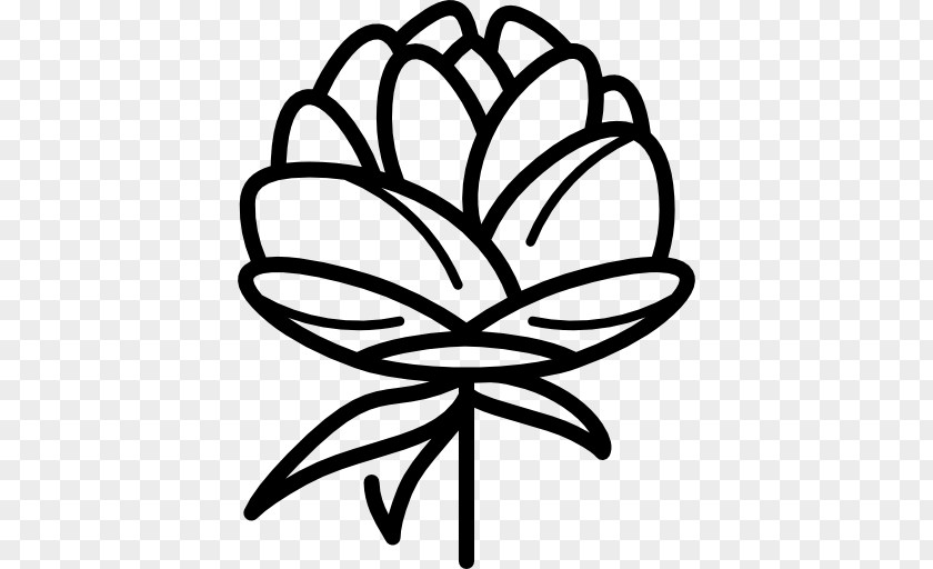 White Peony Clip Art PNG