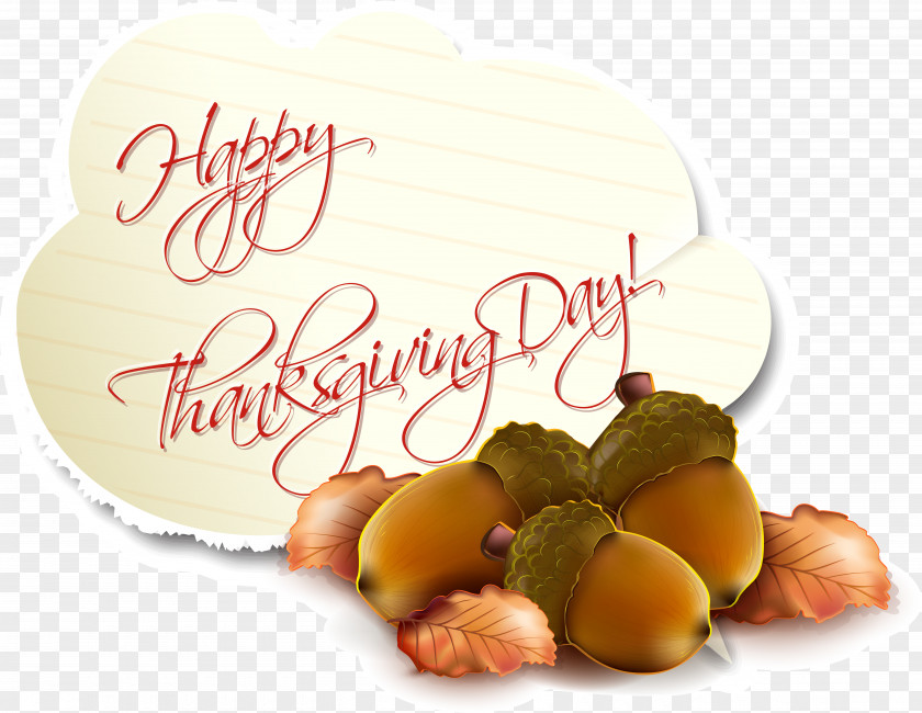 Acorn Thanksgiving Happy Card Vector Birthday Holiday Greeting PNG