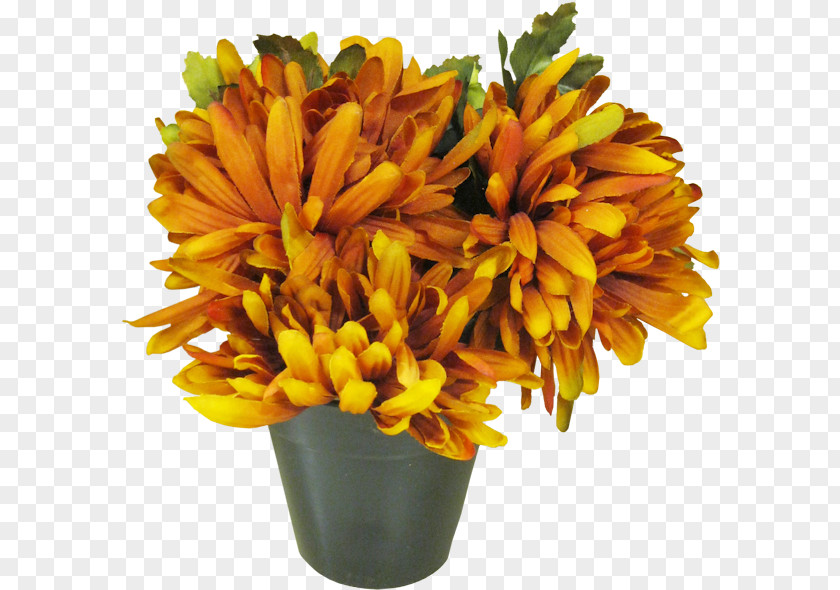 Chrysanthemum Bonsai Cut Flowers Flowerpot PNG