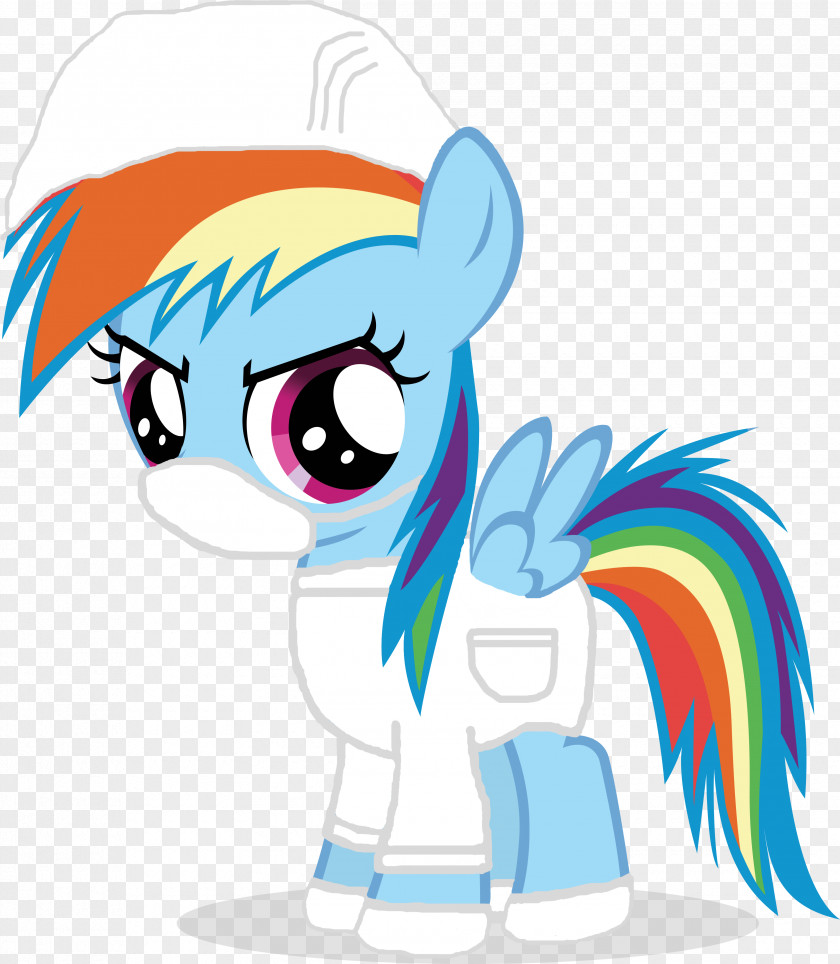 Colored Mane Rainbow Dash Pony Applejack Twilight Sparkle Rarity PNG