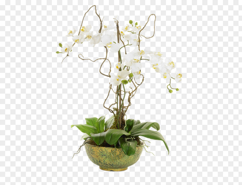 Flower Moth Orchids Vine Floral Design PNG