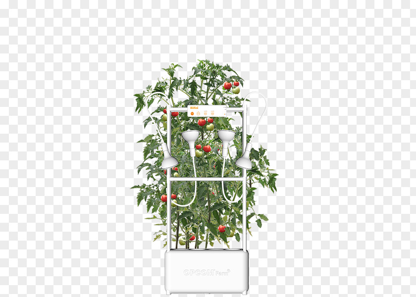 Hydroponic Hydroponics Farm Grow Box Flowerpot Nutrient Film Technique PNG