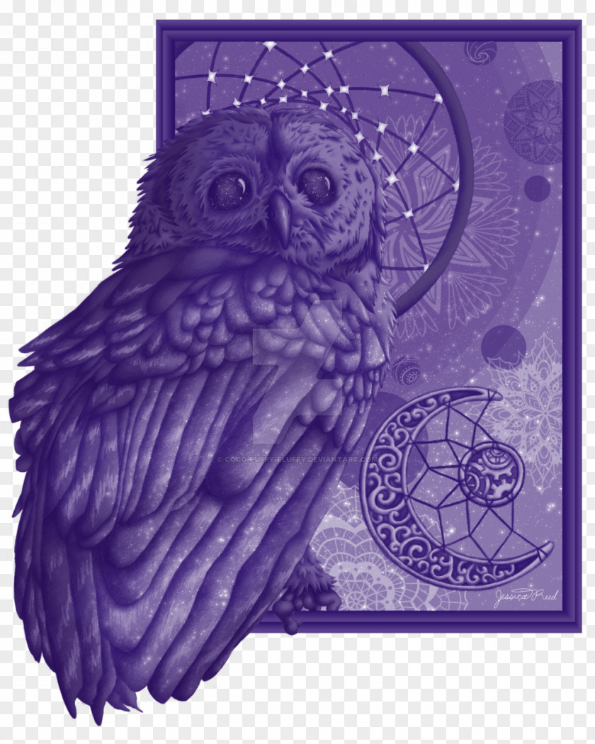 Owl Beak Bird Drawing PNG