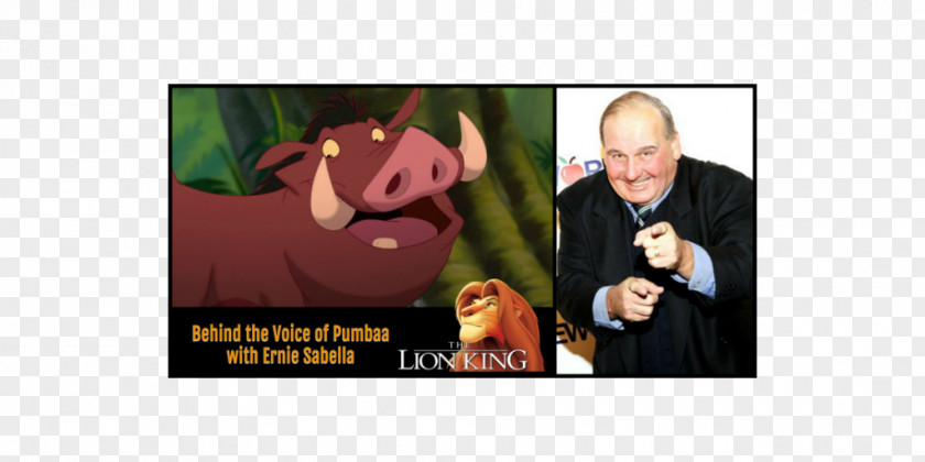 Timon Pumbaa And The Lion King Actor Film Voice PNG