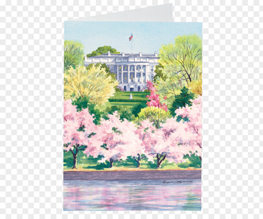 Cherry Poster White House Earring Tidal Basin National Blossom Festival PNG