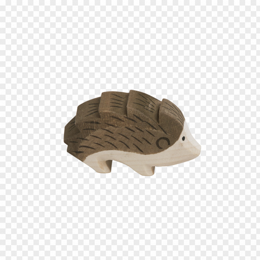 Design Beige PNG