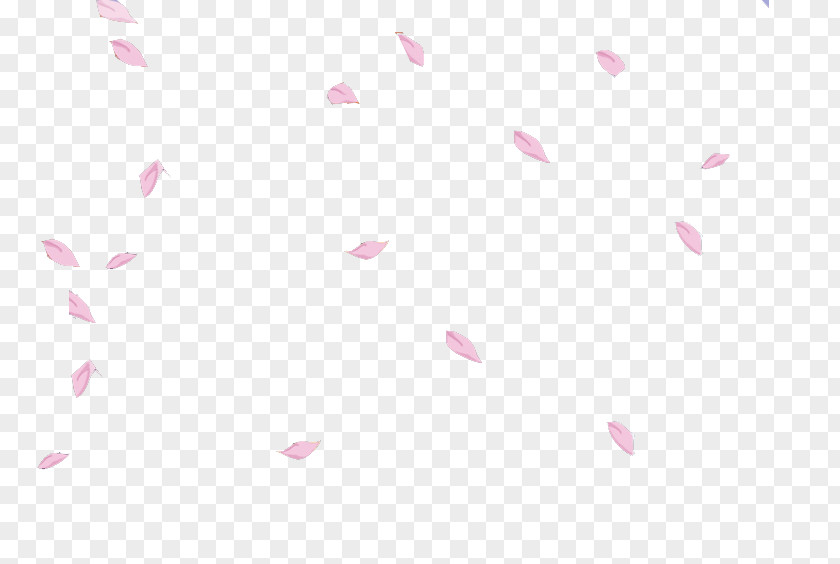 Flower Petal Cherry Blossom Image PNG