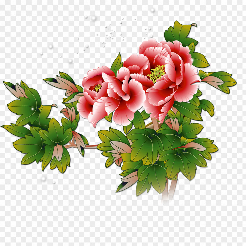 Hand-painted Peony Flowers Illustration PNG