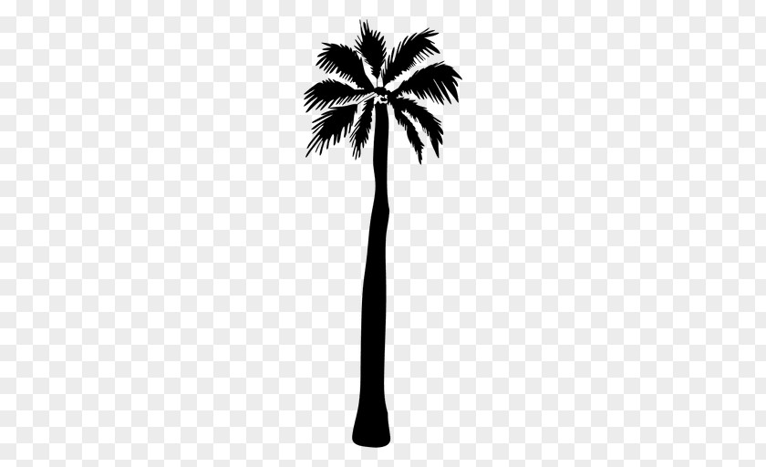 Silhouette Asian Palmyra Palm Arecaceae PNG
