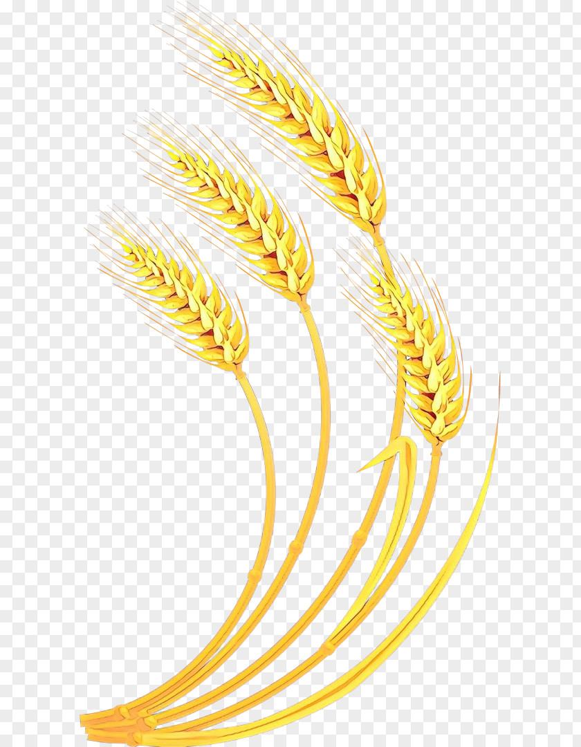 Wheat Plant PNG